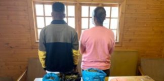 Dagga and unlicensed firearm, siblings arrested, Harrismith