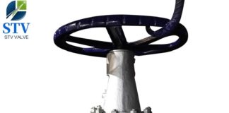 API Pressure Seal Gate Valve API Pressure Seal Gate Valve