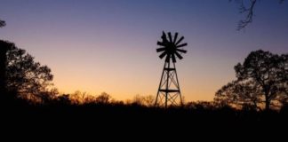 Alert farmers arrest 2 suspects stealing farm solar panels, Arlington