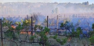 Farms being deliberately set on fire, Paarl