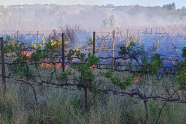 Farms being deliberately set on fire, Paarl