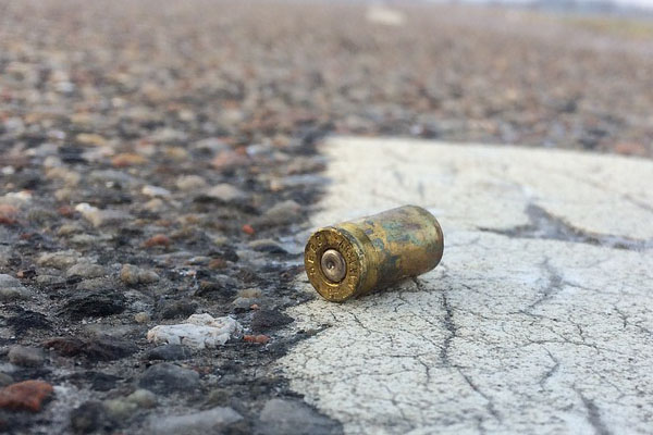 Green Point housebreaker shot, 2 others arrested Green Point housebreaker shot, 2 others arrested