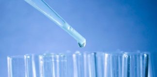 Preparation tips of class 12 Biology Preparation tips of class 12 Biology