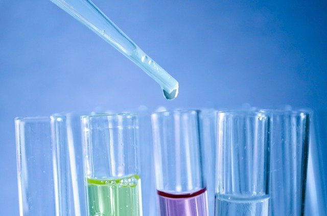 Preparation tips of class 12 Biology Preparation tips of class 12 Biology