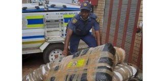 Dealers arrested with R400K worth of dagga, Piet Retief. Photo: SAPS