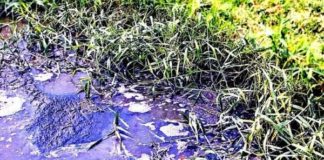 Thabazimbi sewage pollution, treatment plants are still not functional