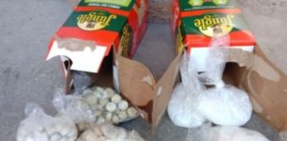 Mandrax concealed in oats boxes, woman arrested, George. Photo: SAPS
