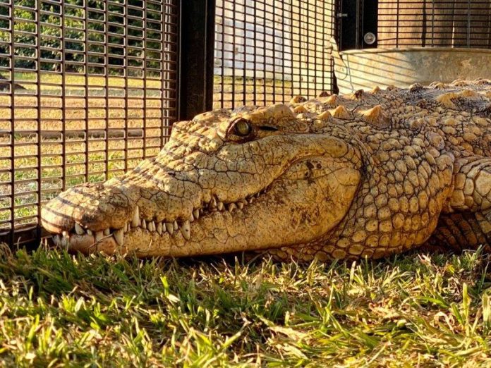 Out on this once-in-a-lifetime chance to enjoy a tour of Dingo’s private facility Out on this once-in-a-lifetime chance to enjoy a tour of Dingo’s private facility