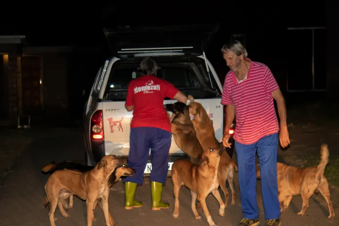 4 Paws and a Tale Rescue pleads with pet owners to vaccinate as rabies cases surge on the KZN South Coast