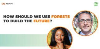 How should we use forests to build the future?