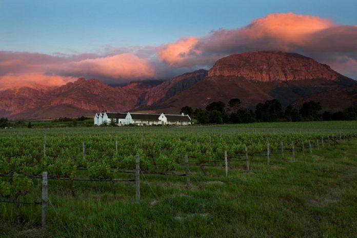 AVONDALE WINE ESTATE JOINS FORCES WITH PIWOSA