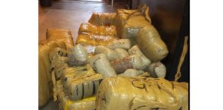 R1.2 million worth of dagga recovered, Oshoek. Photo: SAPS