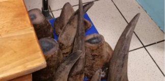 Rhino horns seized at OR Tambo International Airport. Photo: SAPS