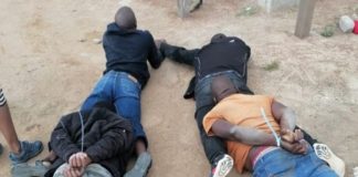 SAPS operation nets 871 suspects, Limpopo. Photo: SAPS
