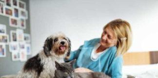 Pet appreciation week - 5 ways our pets make us feel happier and healthier