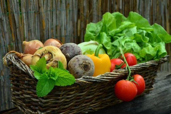 Economic sabotage: Trucks block N12 near Bloemhof, farmers unable to deliver produce Economic sabotage: Trucks block N12 near Bloemhof, farmers unable to deliver produce