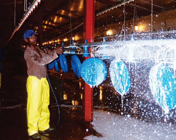 Poultry house cleaning