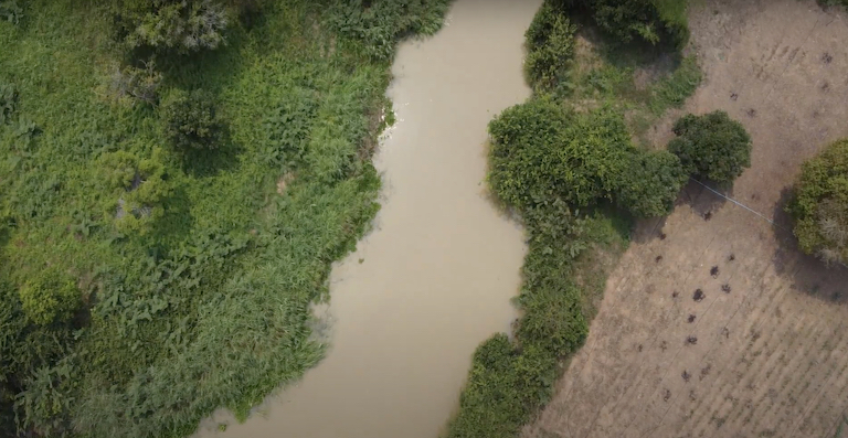 Farmland abuts water near Tonle Sap