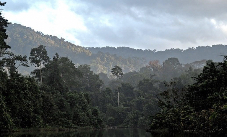 Ulu Muda rainforests help provide water to some 4.09 million people across three Malaysian states. Image courtesy of Hymeir Kamarudin/Earth Lodge Malaysia.
