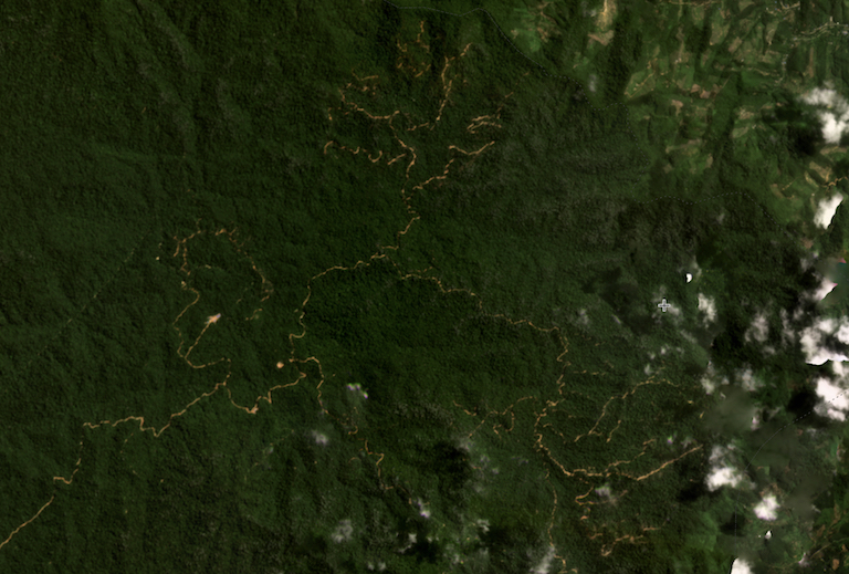 Satellite imagery captured June 2022 by Planet Labs Inc. shows what appear to be logging roads proliferating within Ulu Muda Forest Reserve. 