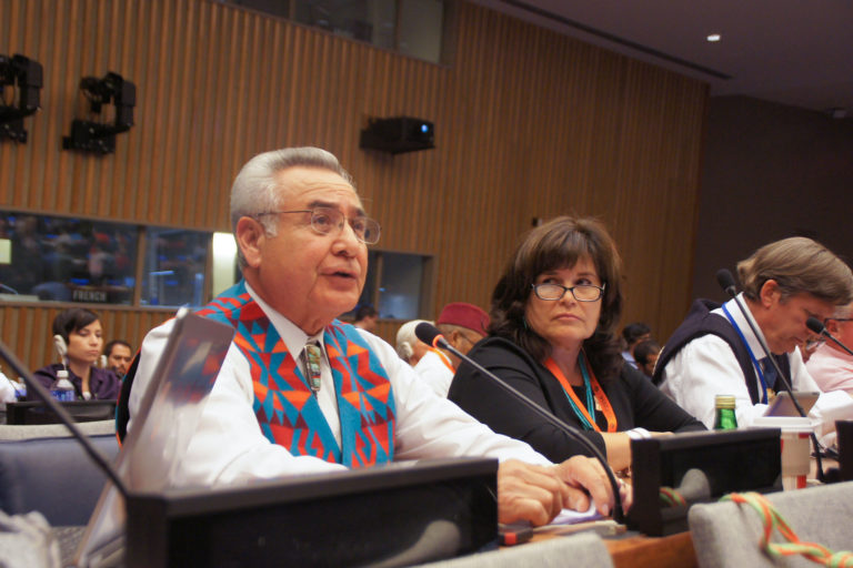 Jefferson Keel, Lieutenant Governor of the Chickasaw Nation and Jackie Johnson Pata, executive director, National Congress of American Indians. Sept. 22, 2014. U.N. headquarters. Image courtesy of Jared King via Flickr (CC BY-NC-ND 2.0).
