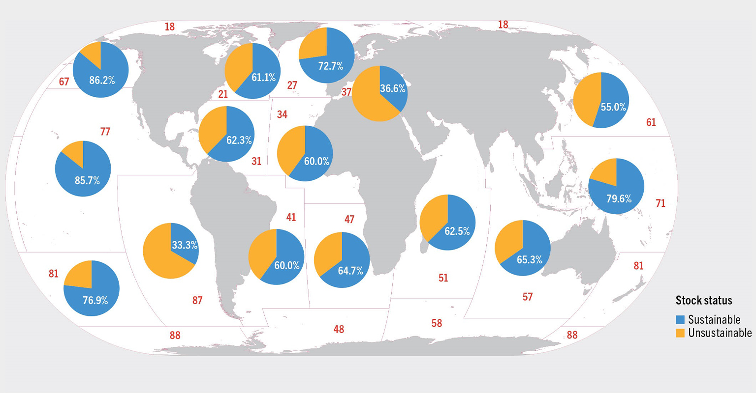 Percentages of biologically sustainable and unsustainable fishery stocks by FAO major fishing area, 2019.