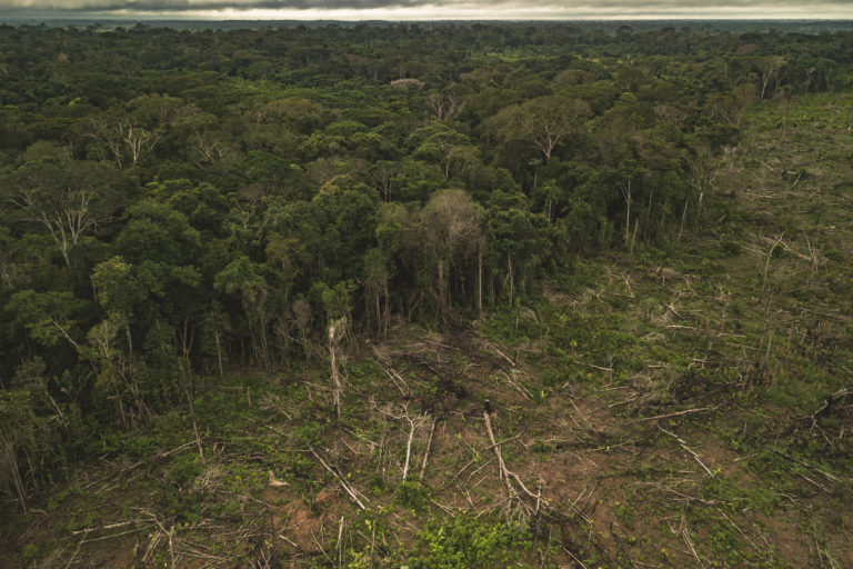 Deforestación en la Amazonía. Foto: Luis Barreto - WWF.