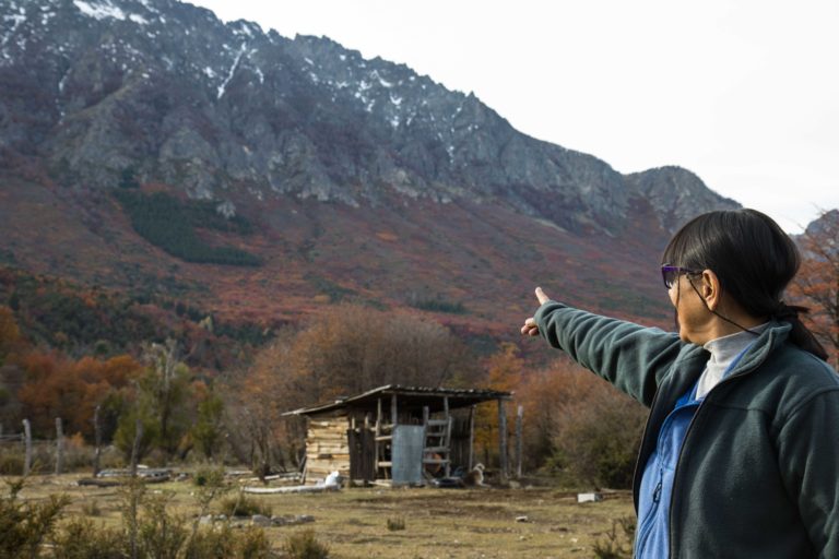 Mirta Ñancunao points to where, after a minor fire, mandatory reforestation was done with pines, with no road for eventual harvest. Image courtesy of Denali DeGraf.