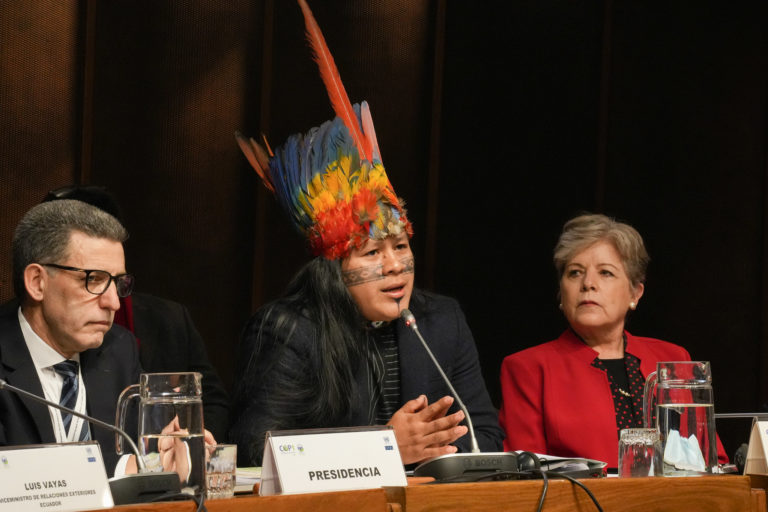 Ecuadorian Indigenous leader Nadino Calapucha speaks at the conference. Image courtesy of ECLAC.