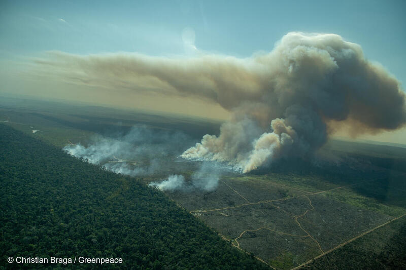 Forest fire in a deforested area.
