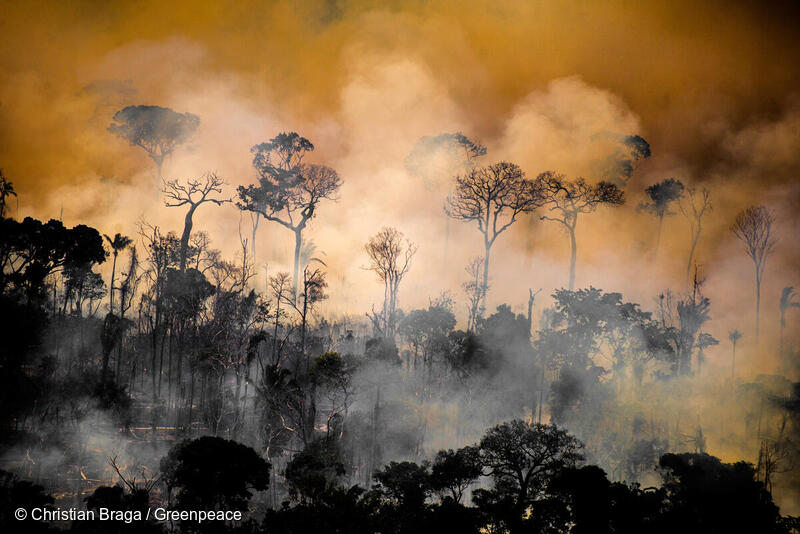 Forest fire in northern Amazonas state.