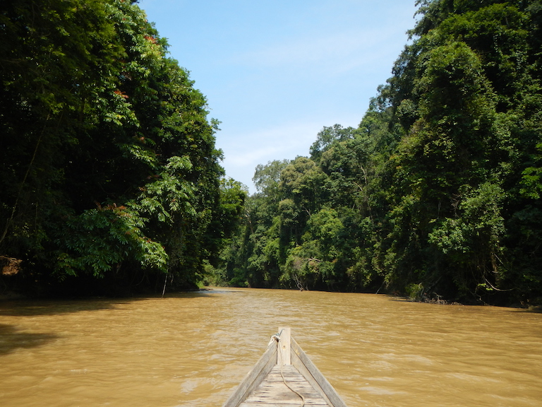 A river in Ulu Muda rainforest. Image by Heavermr via Wikimedia Commons (CC BY-SA 4.0).
