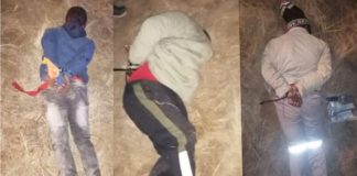 Vaal Marina farm attack: Swift response yields success – Police report and photo’s