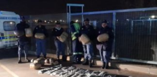 Truck driver arrested with R100k worth of dagga, Bloemfontein. Photo: SAPS