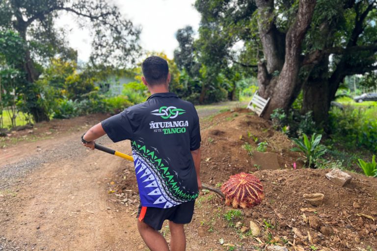 Winton Herman preparing to bury a taramea. Image courtesy of Konini Rongo.