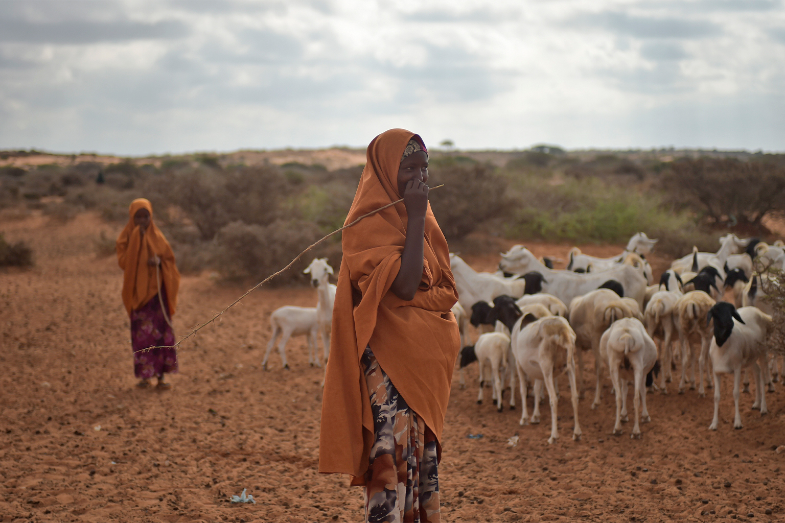 Pastoralists in Somalia