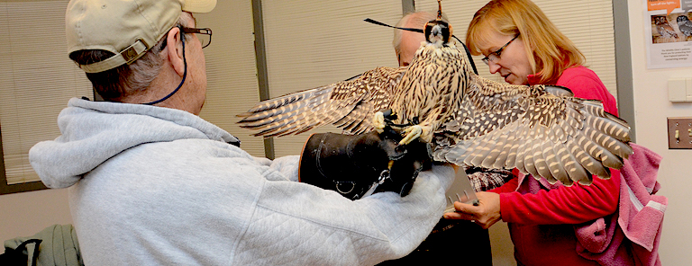 Tufts Wildlife Clinic (TWC) in Grafton, MA, treats 3,000 injured animals every year. Image courtesy of TWC.