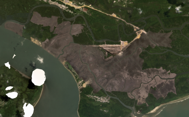 Satellite imagery captured May 2022 by Planet Labs shows a 1,190-hectare clearing in mangrove forest along the Imo River in the state of Akwa Ibom. Mongabay was unable to determine the cause of clearing. 