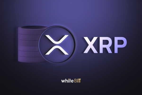The Price and Prospects of XRP: How to Buy XRP on WhiteBIT