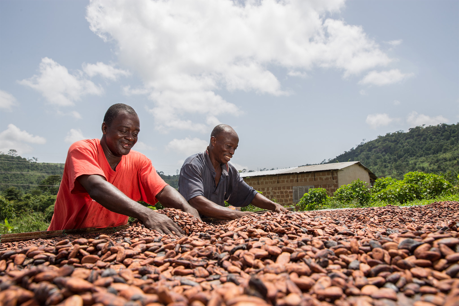 Cocoa farmers in Côte d'Ivoire.