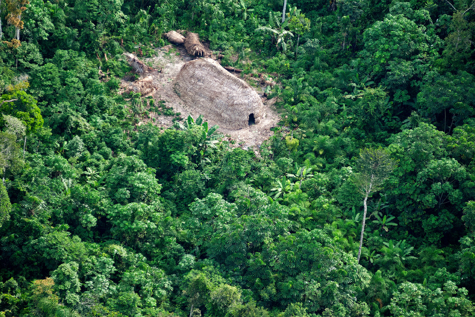 An aerial shot of a longhouse belonging to an isolated Indigenous group in the Vale do Javari region.