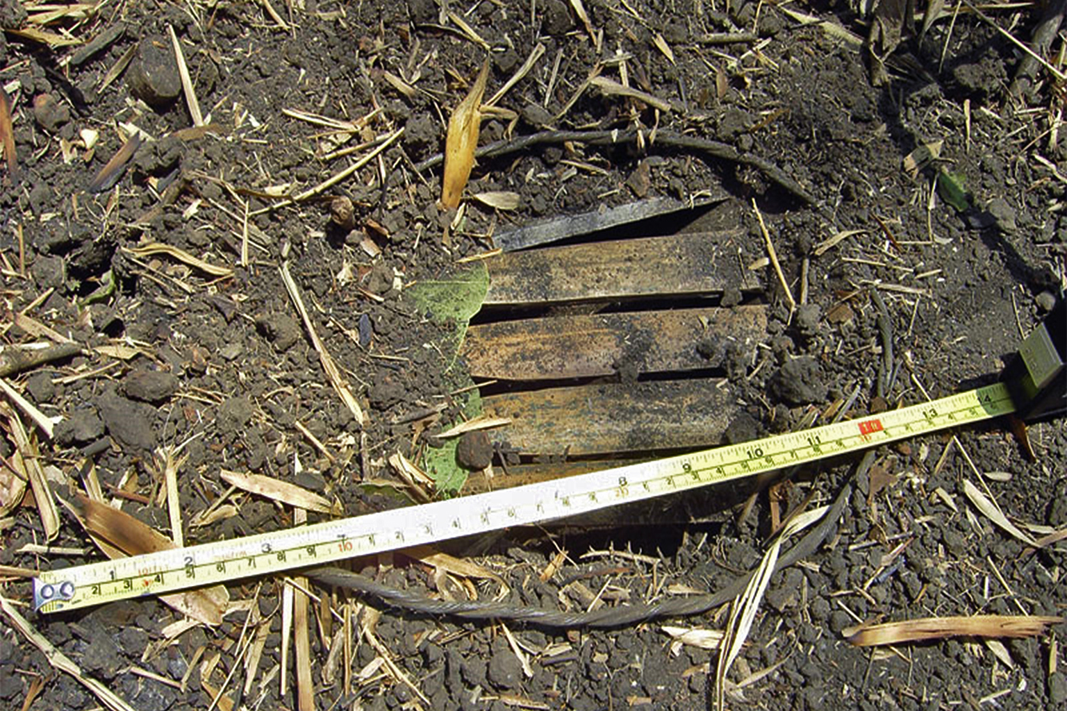 A foot snare set by hunters in Srepok Wildlife Sanctuary, eastern Cambodia.