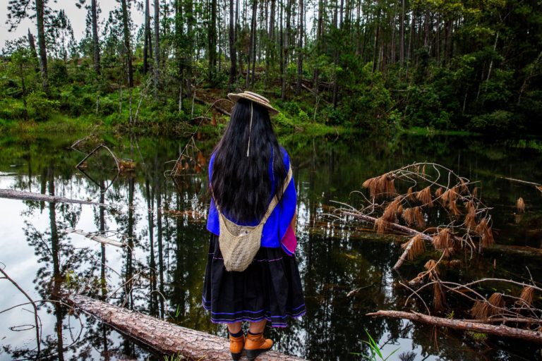A Misak woman poses in front of a water eye where multiple trees from the monoculture were planted by Smurfit Kappa Cartón de Colombia and later cut down by protesters.
