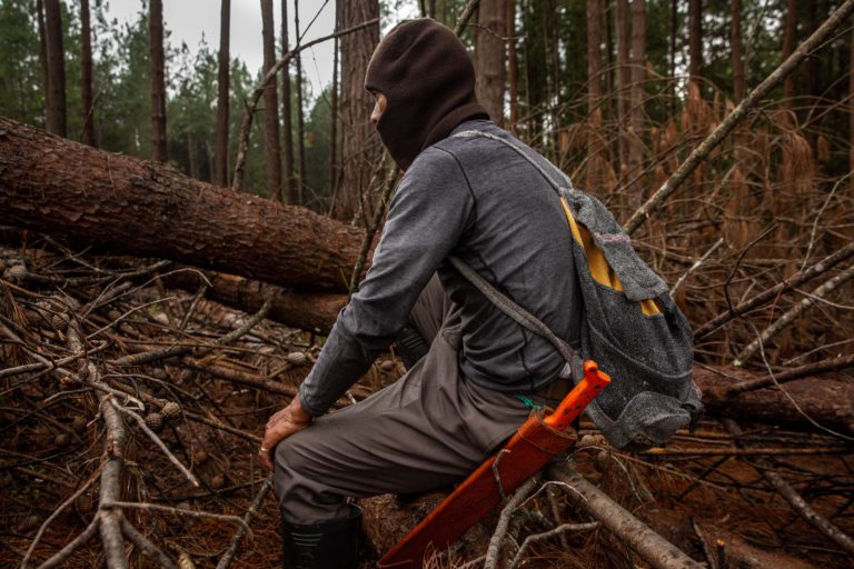With his face covered, a Misak indigenous guard patrols the pine and eucalyptus monoculture area of the Irish multinational.