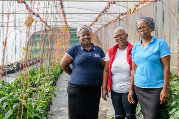 SCTIE celebrates dynamic leaders in agritourism this Women’s Month