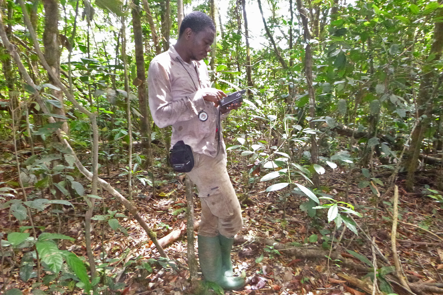 Daniel Mfossa in the field setting a camera trap.