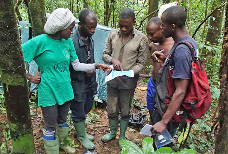 The research team and other staff planning a survey. 