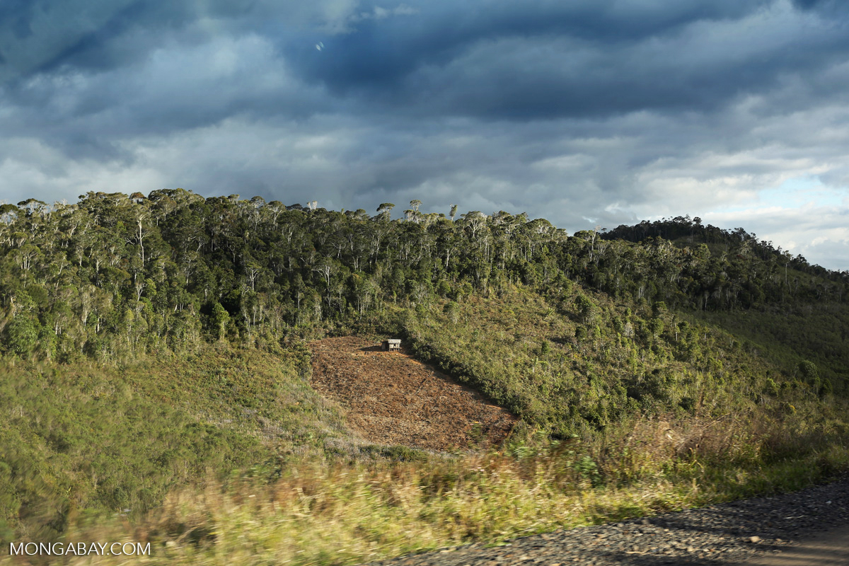 Deforestation near Andasibe-Mantadia National Park, Madagascar.