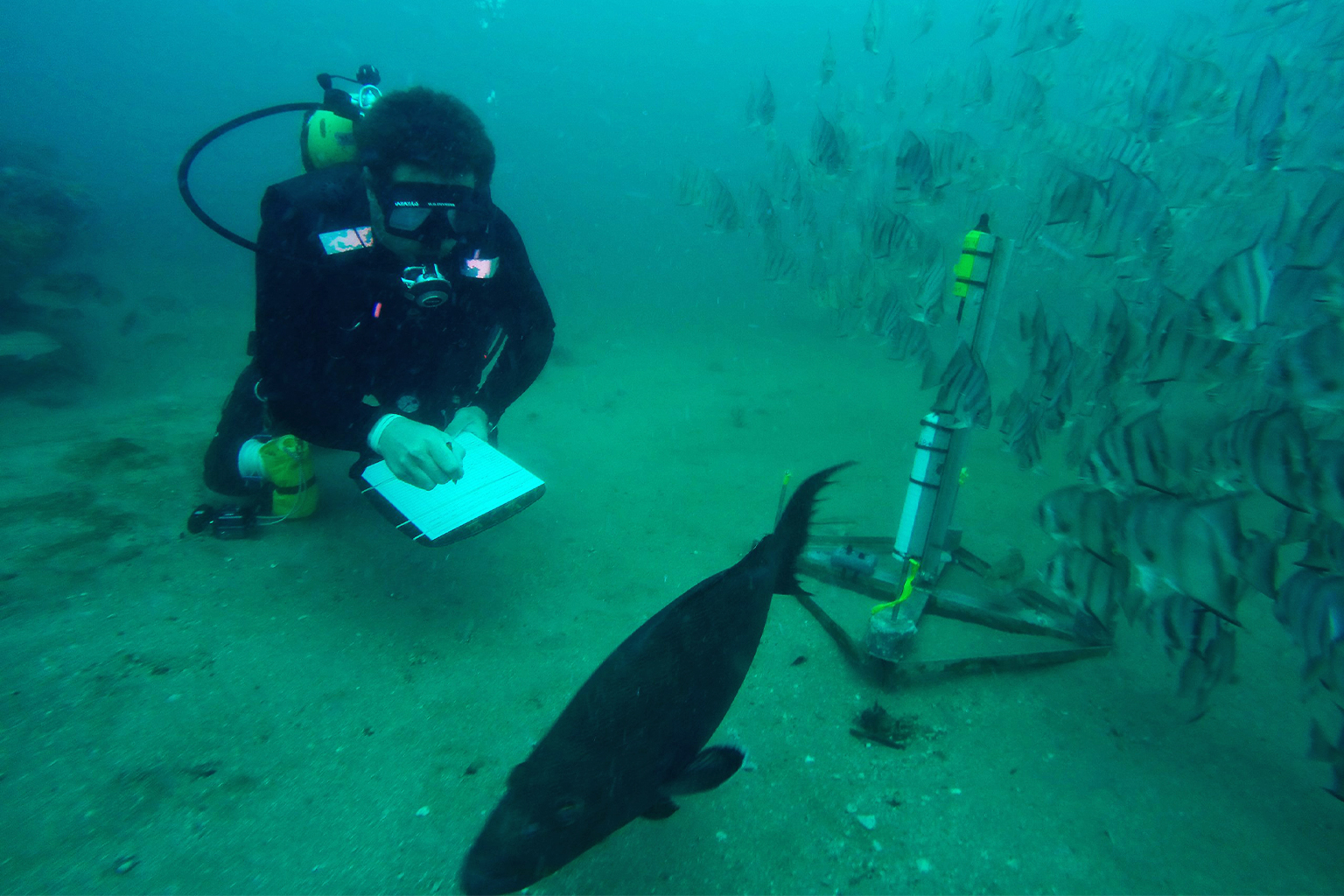 Hydrophone deployment at a reef site. 