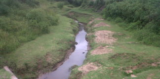 AFD and eThekwini municipality partner to improve catchment management in Durban